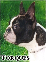 CHLOE Beauty Gremlins