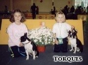 [MICHAELKA (7 l.) + BRANDY, ESTERKA (6 l.) + DJANGO, 2003]