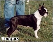 [UNE MISS... 8 m-cy]