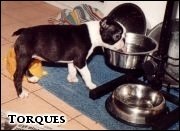 [UNE MISS... 4 m-ce]